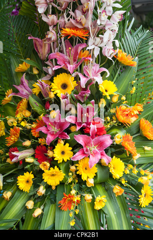 Bouquet de fleurs colorées Banque D'Images