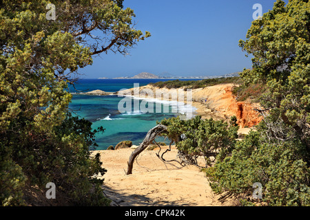 'Passage' d'Alyko beach, à Kedrodasos ('forêt de cèdres'), l'île de Naxos, Cyclades, Grèce Banque D'Images