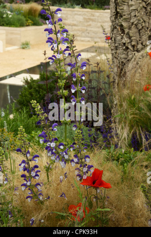 Une vue de l'ensemencement dans l'Arthritis Research UK Jardin de RHS Chelsea Flower Show 2012 Banque D'Images