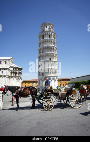 HORSE & PANIER ST. MARY'S CATHEDRAL et tour de Pise Pise Toscane Italie 11 Mai 2012 Banque D'Images