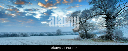 Une scène d'hiver gel Hoare sur champs près de Fenland town Mars, Fenland, Cambridgeshire, Angleterre, Grande-Bretagne, Royaume-Uni Banque D'Images