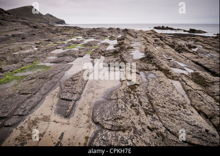 Crackington Haven sur la côte nord des Cornouailles Banque D'Images