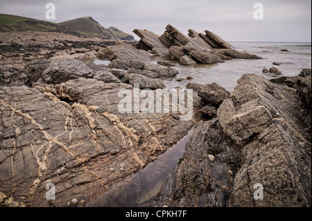 Crackington Haven sur la côte nord des Cornouailles Banque D'Images