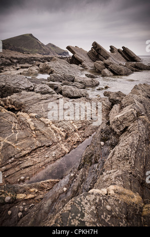 Crackington Haven sur la côte nord des Cornouailles Banque D'Images