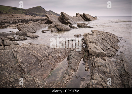 Crackington Haven sur la côte nord des Cornouailles Banque D'Images