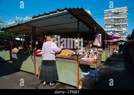 Marché Kalenic Pijaca Vracar Belgrade Serbie Europe district Banque D'Images