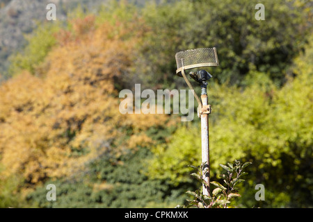 L'eau d'irrigation, à tuyau utilisé pour la pulvérisation des vergers de pommiers cultivés intensivement dans l'Alto Adige, Italie. Banque D'Images