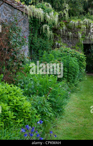 Jardins botaniques au chateau de la foltiere, Bretagne, France Banque D'Images