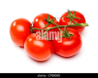 Les tomates sur la vigne Banque D'Images