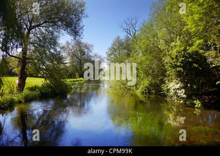 Itchen River à Twyford, Hampshire, Angleterre. Banque D'Images