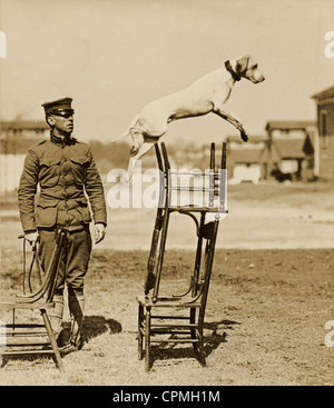 Formation Chien Mascotte de soldat à sauter Banque D'Images