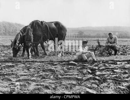 Les soldats allemands travaillant dans le pays dans l'agriculture française Banque D'Images