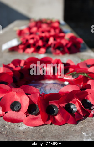 Le monument commémoratif de guerre dans le centre de York, couvert de couronnes faites de coquelicots pour commémorer le Jour du souvenir pour les anciens combattants Banque D'Images