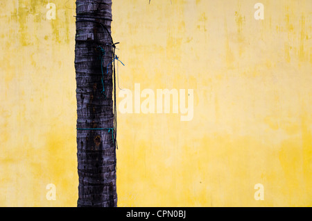 Détails extérieurs de Hoi An au Vietnam. Les maisons jaunes dans Hoi An sont une partie du patrimoine mondial de l'Unesco. Banque D'Images