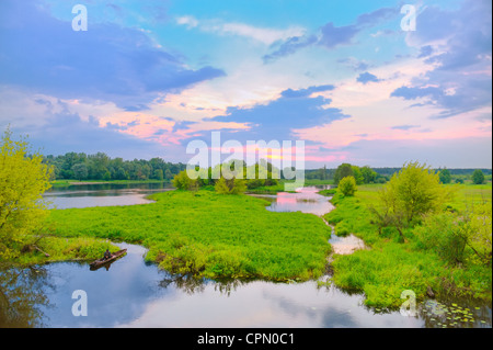 Le lever du soleil sur la rivière Narew en Pologne. Banque D'Images
