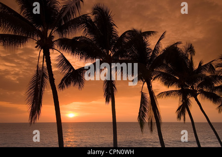 Elk284-3339, Hawaii HI, Hawaiian sunset Anaehoomalu Bay avec des palmiers Banque D'Images