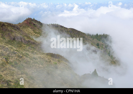 Les nuages rouler dans Halemauu le long de la piste du parc national de Haleakala Maui, Hawaii Banque D'Images