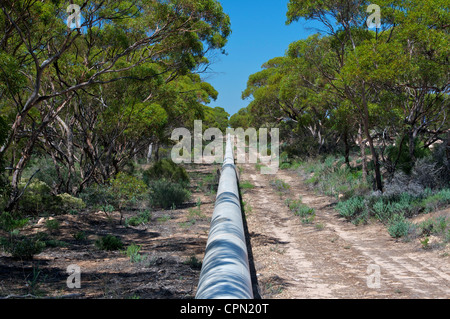 Conduite d'eau au-dessus du sol sur le bouton de fer près de l'autoroute d'Eyre Australie du Sud Banque D'Images