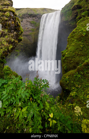 Cascade de Skogafoss, Islande Banque D'Images