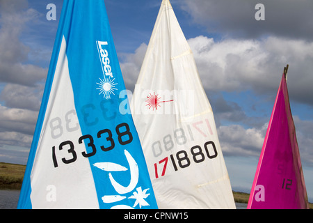 Voiles sur l'affichage lors de l'Assemblée Morston régate. Banque D'Images
