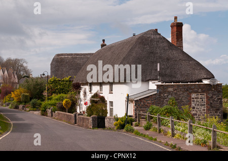 Chaumière de Porlock Weir, Parc National d'Exmoor, Somerset, UK Banque D'Images