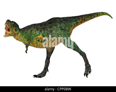 Illustration d'une espèce de dinosaure (Aucasaurus) isolé sur fond blanc Banque D'Images