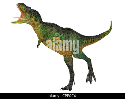 Illustration d'une espèce de dinosaure (Aucasaurus) isolé sur fond blanc Banque D'Images