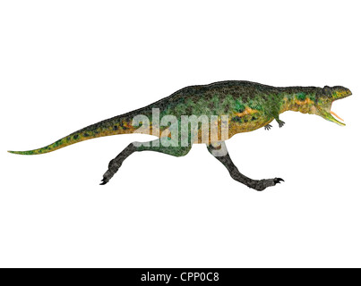 Illustration d'une espèce de dinosaure (Aucasaurus) isolé sur fond blanc Banque D'Images