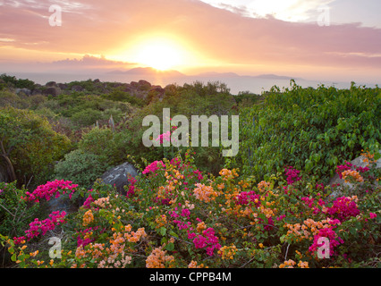 Virgin Gorda, îles Vierges britanniques, les Caraïbes : vue sur coucher de soleil sur les îles de la mer des Caraïbes Banque D'Images