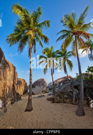 Virgin Gorda, îles Vierges britanniques, les Caraïbes Plam arbres sur la plage parmi les rochers de granit au crawl National Park Banque D'Images