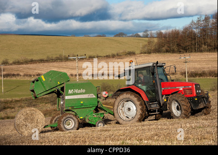 La mise en balles de paille avec McHale et balles rondes tracteur Massey Ferguson. Banque D'Images