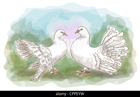 Couple de colombes. L'illustration. Style aquarelle. Banque D'Images