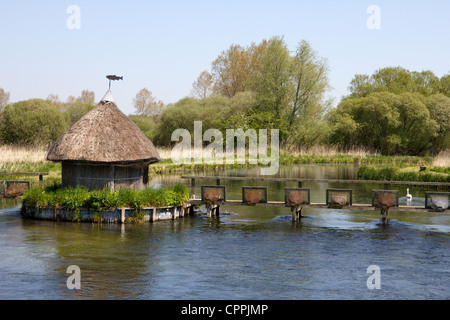 Longstock rivière écluse pièges anguille test hampshire england uk Banque D'Images