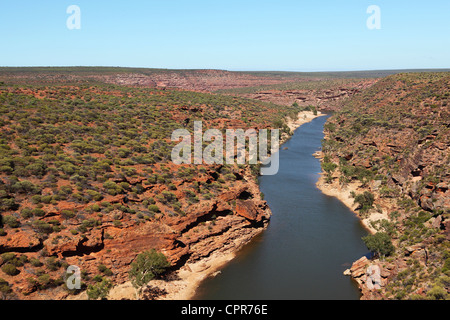 La Murchison River coule à travers le Parc National de Kalbarri en Australie occidentale. Banque D'Images