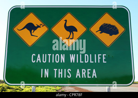 Un panneau met en garde les pilotes qui peuvent être des animaux indigènes de l'Australie sur la route dans le Parc National de Nambung, Australie. Banque D'Images