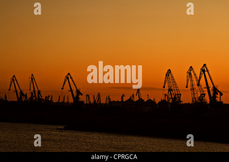 Silhouettes de grue dans un port au coucher du soleil. Banque D'Images