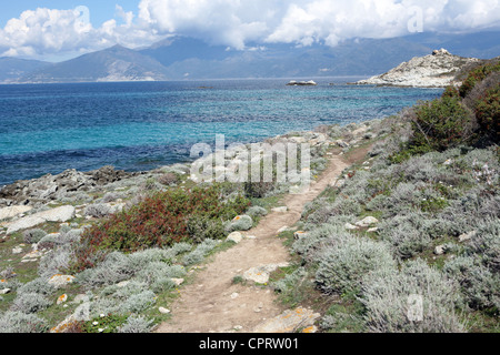 Paysage sur le chemin sentier à partir de la plage de Saleccia à St-Florent Saint. (Si vous le faites, de prendre de l'eau) Banque D'Images