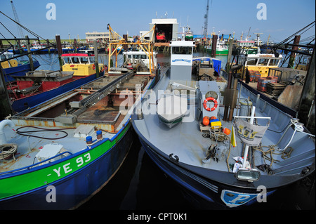 Les bateaux de pêche / coupeurs de moules dans le port de Göcek le long de l'Escaut oriental / Oosterschelde, Nouvelle-Zélande, Pays-Bas Banque D'Images