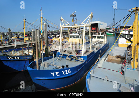 Les bateaux de pêche / coupeurs de moules dans le port de Göcek le long de l'Escaut oriental / Oosterschelde, Nouvelle-Zélande, Pays-Bas Banque D'Images