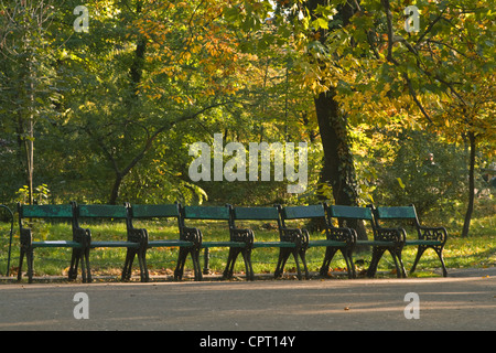 Rangée de bancs spécifiques dans un parc d'automne.Lieu:Le Jardin Cismigiu,Bucarest,Roumanie. Banque D'Images