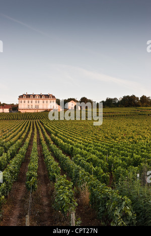 Paysage autour du vignoble de la côte de nuits, Bourgogne, France. Accueil du célèbre grand cru des vins rouges. Banque D'Images