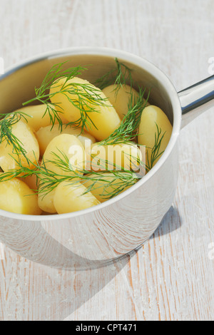 Pommes de terre nouvelles à l'aneth en pot d'acier Banque D'Images