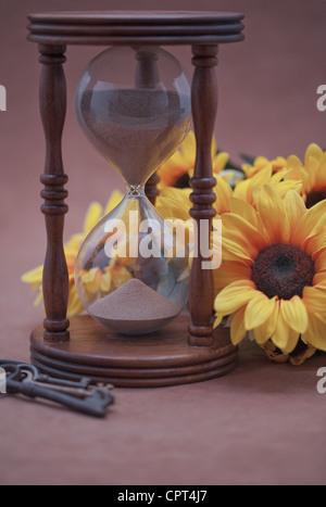 À côté de Hourglass Black Eyed Susan avec fausses clefs contre l'arrière-plan de couleur chocolat. Selective focus Banque D'Images