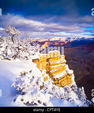 Le Grand Canyon est un canyon à parois abruptes creusées par la rivière Colorado, aux États-Unis situé dans l'Arizona. Banque D'Images