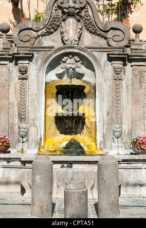 Fontaine (18sec.) dans la place San Marco, Tuscania, Latium, Italie Viterbo Province , Banque D'Images