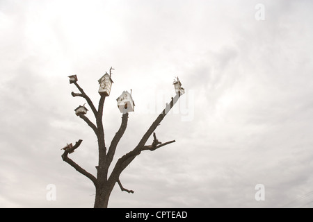 Les cabanes sur l'arbre contre ciel couvert Banque D'Images