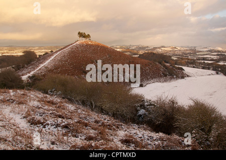 Colmer's Hill en hiver : cette modeste mais distinctive Hill est devenu un établissement emblématique de la région de West Bridport Dorset. Angleterre, Royaume-Uni. Banque D'Images