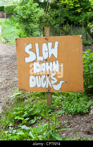 Les conducteurs d'avertissement signe de canards dans la route - ralentir canards dans village près d'un étang. Banque D'Images