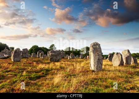 Certains des 3000 menhirs de Carnac, Bretagne, France. Banque D'Images