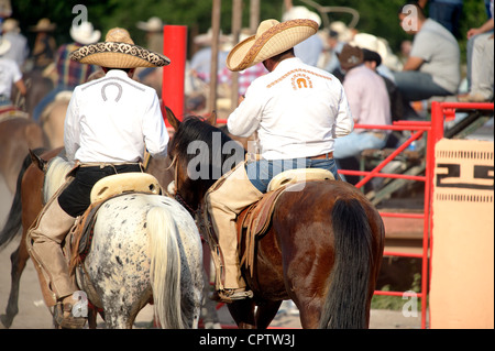 Charros mexicains chat cavalier à cheval tandis que dans un lienzo charro (aka arena) au cours d'un coleadero, San Antonio, Texas, US Banque D'Images